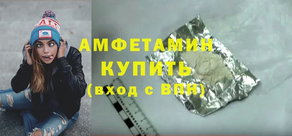 сатива Аркадак