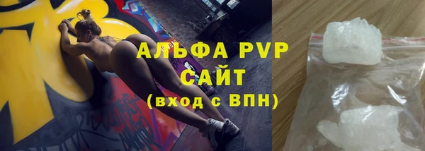 сатива Аркадак