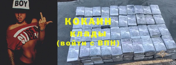 сатива Аркадак