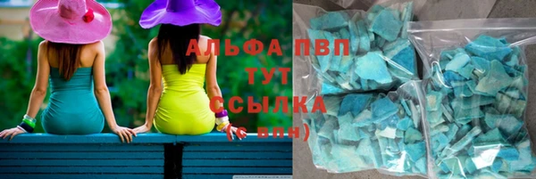 сатива Аркадак