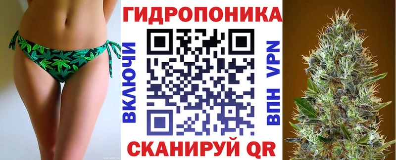 МАРИХУАНА план  Демидов 